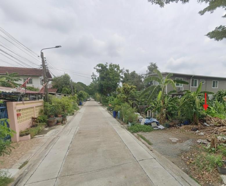 ขายที่ดิน 82 ตร.ว. ซอยศิริเกษม 15 ใกล้ตลาดศิริเกษม และโรงเรียนอัสสัมชัญธนบุรี