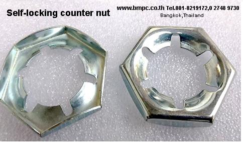 Hing Hook wrench with nose, ประแจขันนีอตล๊อกลูกปืนปลายเพลา, Wrench for slotted round nut, Fine U NUT, Amecoil, Schnorr, disc spring, safety washer รูปที่ 11