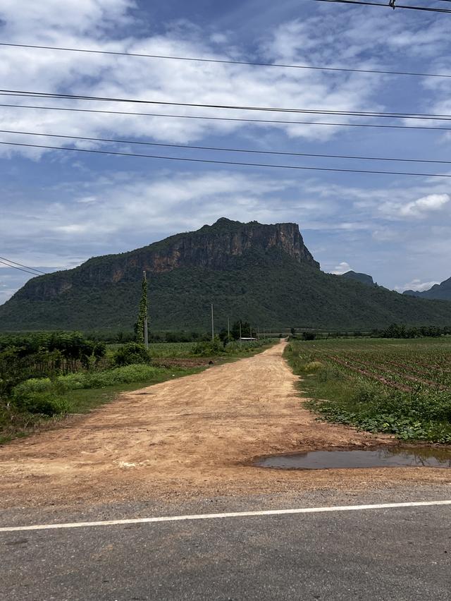 ขายที่ดิน206ไร่ ต.ไทรโยค ติดถนน ติดภูเขา ทำเลทอง  2