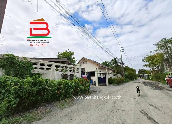 ที่ดินพร้อมสิ่งปลูกสร้าง หนองระแหง 5/1 (ใกล้ทางด่วนจตุโชติ) เนื้อที่ 400 ตรว. แขวงสามวาฝั่งตะวันตก เขตคลองสามวา 13