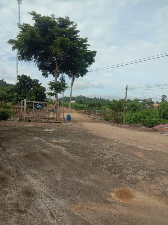 ที่ดิน เปล่า 1-10 ไร่ แบ่งขายได้ ที่วังหมี ไร่ละ 6แสน