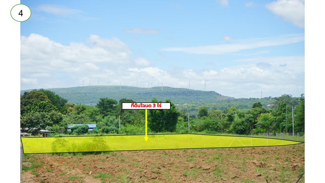 ขายที่ดินโฉนดครุฑแดง 5