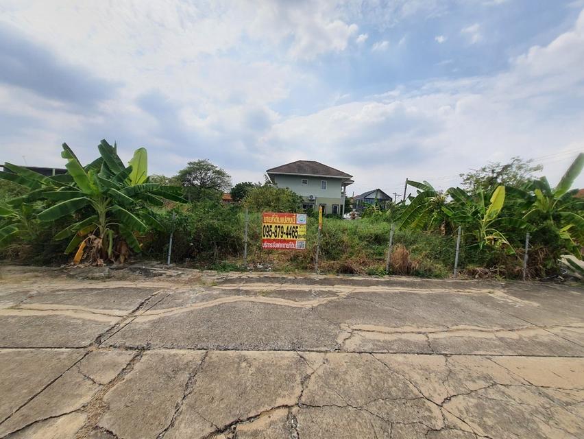 ที่ดิน 3