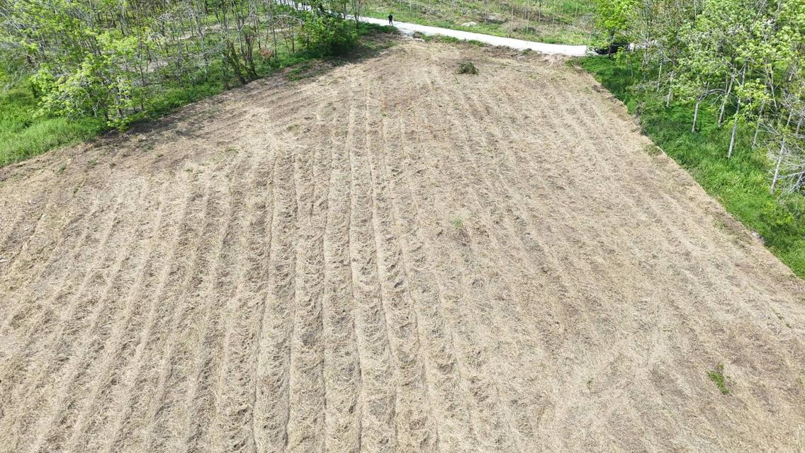 ขายที่ดินเปล่า 4-2-50 ไร่ ทำเลศักยภาพ ติดคลองกระเฉท น้ำไหลตลอดปี ใกล้นิคมอุตสาหกรรม ต.มาบข่า ระยอง 8