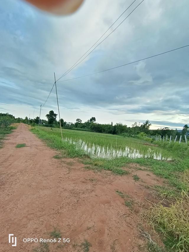 ขายที่แปลงใหญ่ติดถนนระหว่างอำเภอ 8