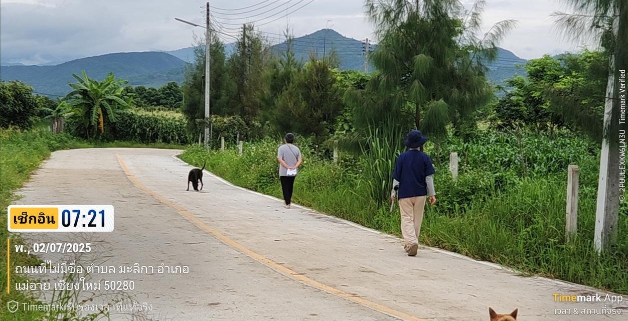 ที่ดินวิวภูเขา 360 ํ 4