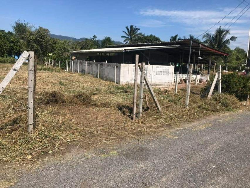 ที่ดินสวยใกล้เขาเขียว ขาย/ขายผ่อนตรง 5