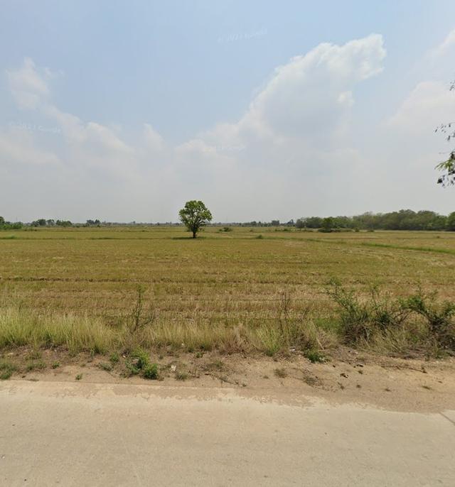 ที่ดิน พนัสนิคม ชลบุรี 5 ไร่ 2 งาน 16 ตรว. ติดถนนใหญ่ ใกล้ชุมชน 3