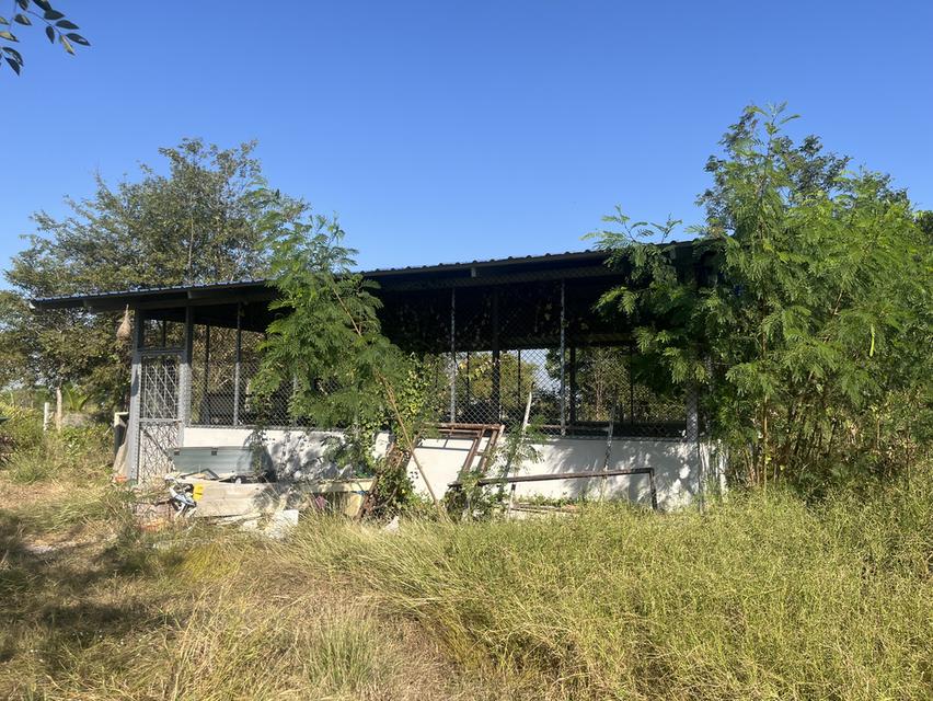 ขายที่ดิน1ไร่2งาน ใกล้คลังน้ำมัน เสาไห้ จ.สระบุรี 3