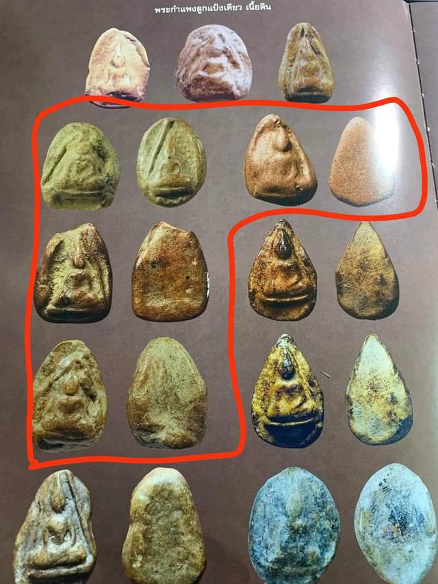 นางกำแพงลูกแป้งเดี่ยว รูปที่ 4