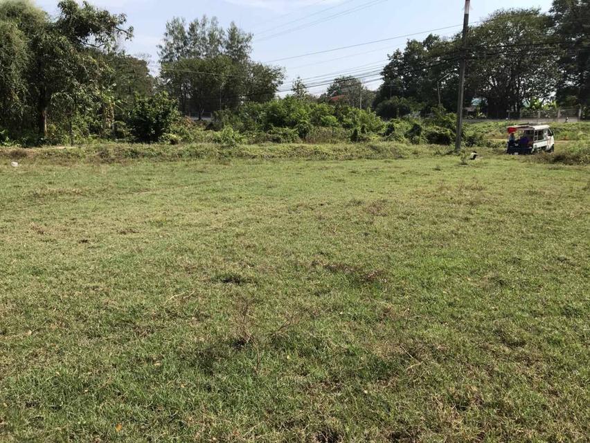 ที่ดินจังหวัด นครนายก 4