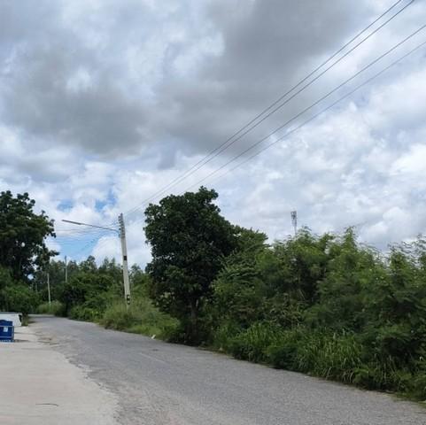 ขายที่ดินหนองบอนแดงชลบุรี ขายที่ดิน 4ไร่ ตำบล หนองบอนแดง อำเภอ บ้านบึง 3