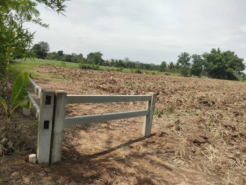 ประกาศขายที่ดินปากช่องแุถวรีสอร์ทบ้านนอกคอกนา ของฉันเอง 11