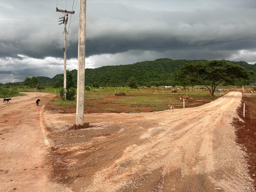 ที่ดิน เขาปากกว้าง โพธาราม ราชบุรี ขนาด 100 ตร.วา - 1 ไร่  20