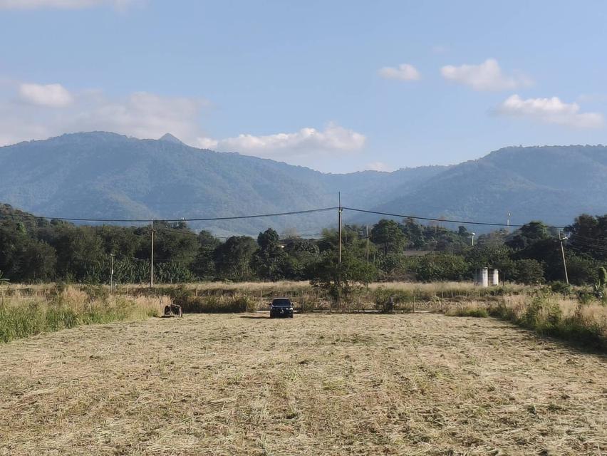 ขายที่ดินเขาใหญ่ หมูสี ที่ติดเขา วิวอุทยานแห่งชาติเขาใหญ่ชัดสวยมาก ท่าช้าง ใกล้ถนนธนะรัชต์ ใกล้เส้น 3052 เดินทางสะดวก ติดลาดยาง ใกล้ร้านค้าตลาด ที่สวย 1