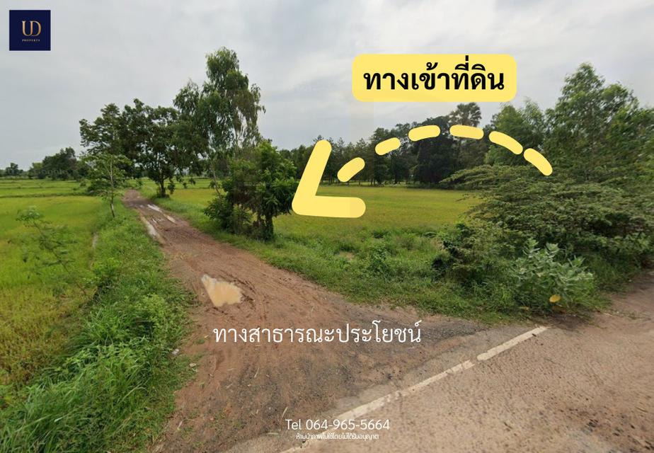 🌟 #ขายที่ดินถูกมาก อ.เมืองบุรีรัมย์ 🌟 6 ไร่ 2 งาน 77 ตร.ว. (ขายยกแปลง) 📍 ที่ตั้ง : ต.หนองตาด อ.เมืองบุรีรัมย์ จ.บุรีรัมย์ 31000 6