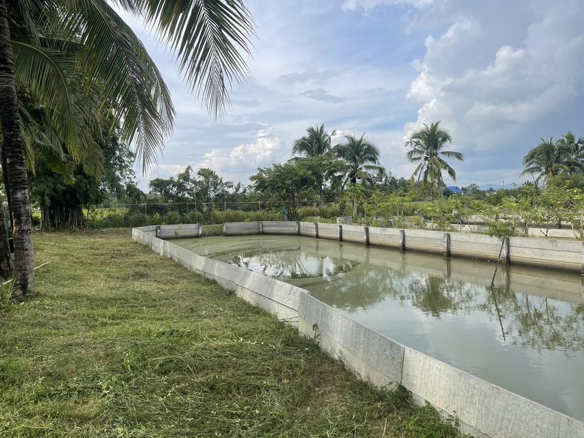 🏡ขายที่ดินพร้อมบ้านสวน พร้อมเข้าอยู่ 👩‍🌾👨‍🌾  📍ตำบล สง่าบ้าน อำเภอดอยสะเก็ด จังหวัดเชียงใหม่ 17