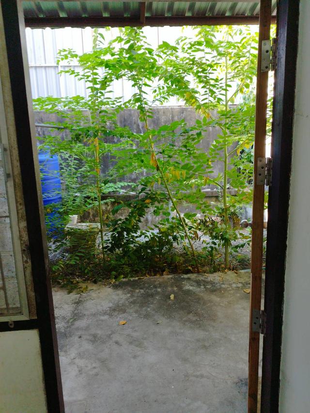บ้านทาวเฮาสทวีวัฒนา51 4