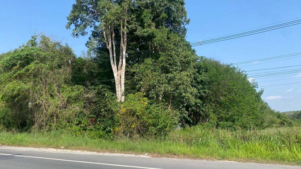 ขายที่ดิน 24 ไร่ ทำเลอุตสาหกรรม นิคมพัฒนา ระยอง   ผังสีม่วงลาย รองรับโรงงานอุตสาหกรรม รูปที่ 6