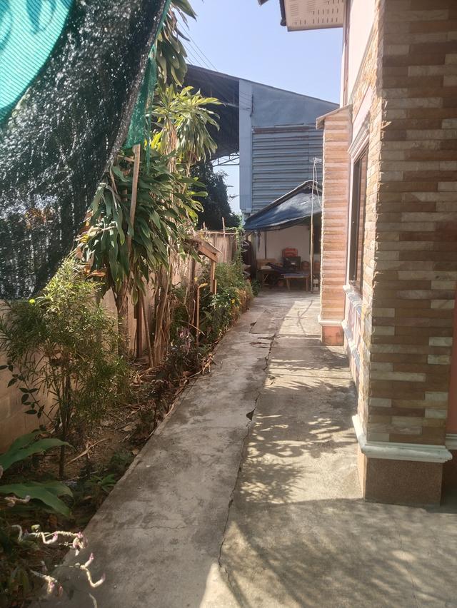 บ้านเดี่ยวพร้อมที่ดิน 8