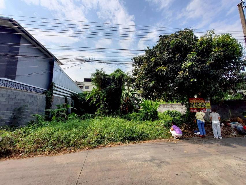 ขายถูกที่ดิน 111 ตรว ติดถนนคอนกรีตสาธารณะ  ถมแล้ว ซ.ติวานนท์-ปากเกร็ด 27 อ.ปากเกร็ด จ.นนทบุรี 2