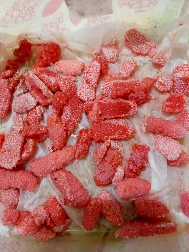 หอยเชอรี่สีทองจำหน่ายแม่พันธุ์ 4