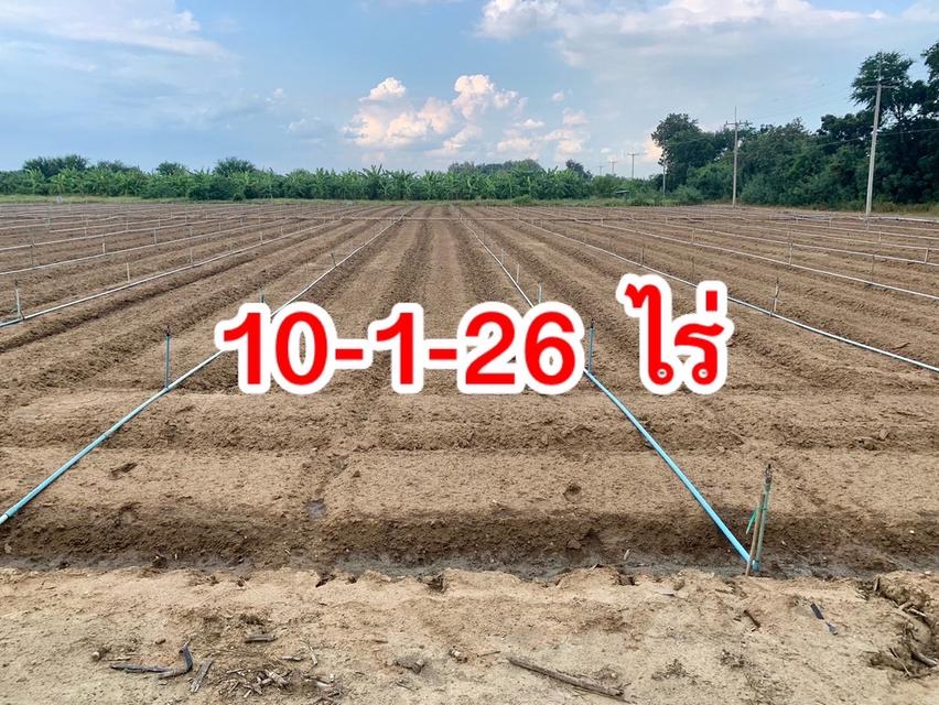 ขายที่ดินสวย2แปลง เนื้อที่รวม26ไร่เศษ สภาพแวดลัอมดี เหมาะลงทุน,ทำเกษตร,จัดสรรหรืออื่นๆ คมนาคมสะดวก 7