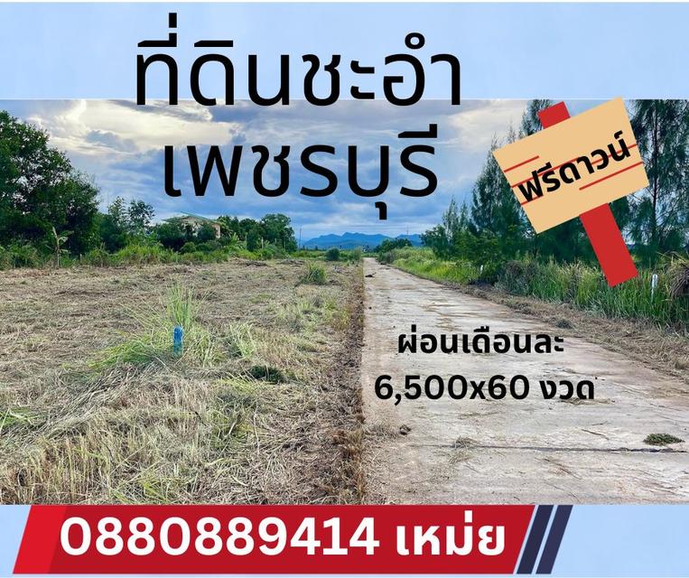 ที่ดิน ชะอำ เพชรบุรี ผ่อนเดือนละ 6,500x60 ฟรีดาวน์