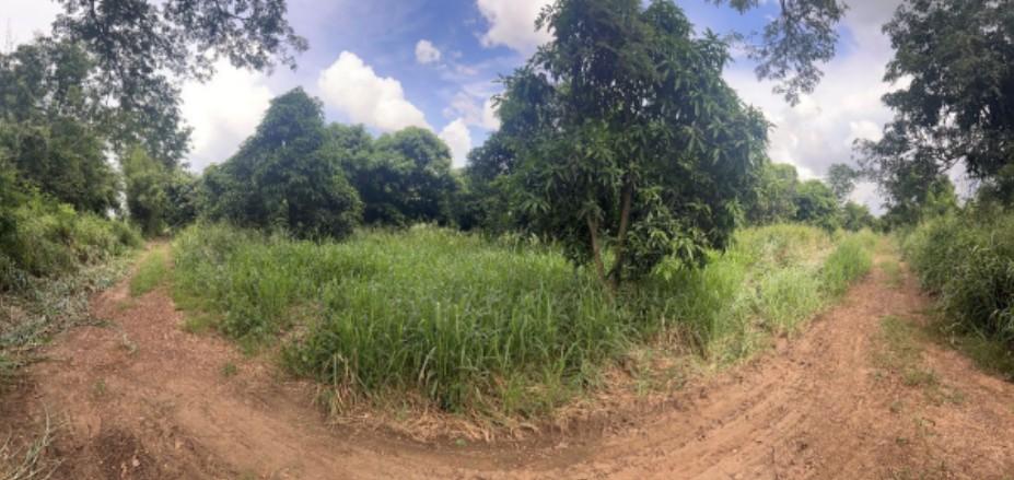 ขายที่ดินทำเลทองแปลงใหญ่ ศรีมหาโพธิ จ.ปราจีนบุรี ติดถนนใหญ่ ใกล้สำนักงานเทศบาลตำบลกรอกสมบูรณ์ 8