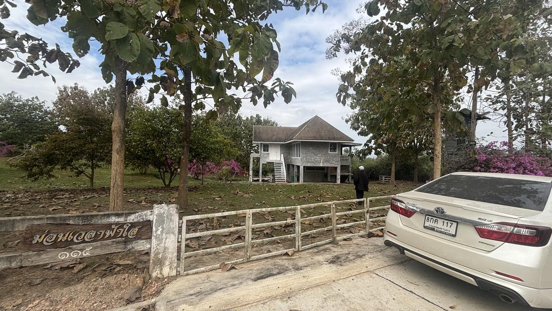 ที่ดินพร้อมบ้าน 2 ไร่ 2.7 ล้าน ต.วังหมี บ้านโคกสันติสุข 8