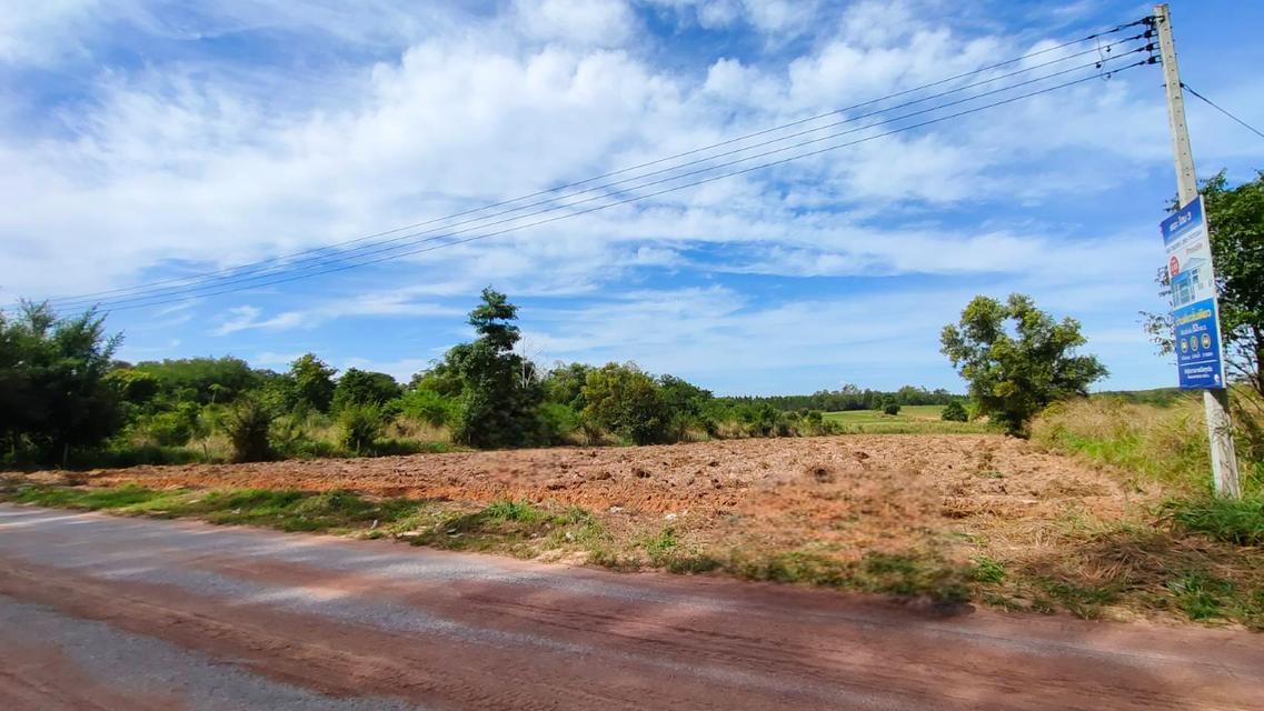 ขายที่ดินบ่อวินซอยตลาดลุงอ้วนเนื้อที่ 5 ไร่ หลังนิคมอีสเทอร์ซีบอร์ด ใกล้ถนนเส้น331-8กม. อ.ศรีราชา ชลบุรี 3