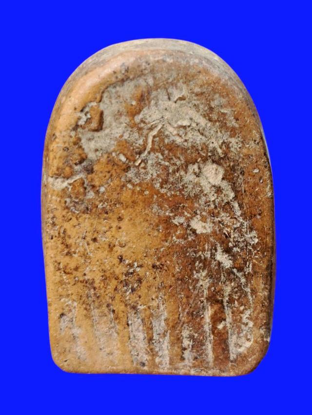 เปิดจ้า💞สนใจทักแชทได้เลยนะคะ 💚ส่งฟรีค่ะ 🥰 รูปที่ 3