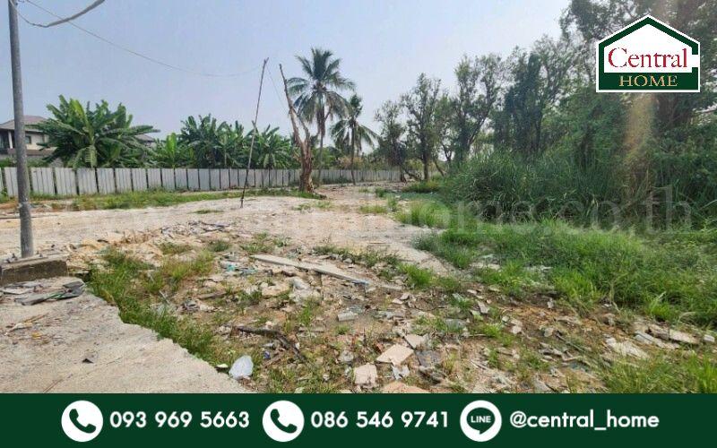 ที่ดินเปล่า 2-3-8 ไร่ ตารางวา ซอย มหาสวัสดิ์ - บางกรวย แปลงสวย ถมแล้ว