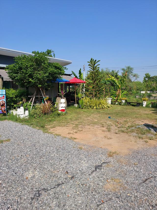 บ้านสวนพร้อมที่ดิน181ตรว. 18