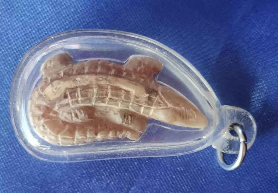 จรเข้แกะหลวงพ่อสนิท วัดลำบัวลอย 3