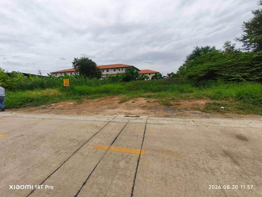 ขายด่วนที่ดิน 215 ตรว ติดถนนสาธารณะ 2 ด้าน ซ.ไอยรา 26,27 คลองหลวง ปทุมธานี 3