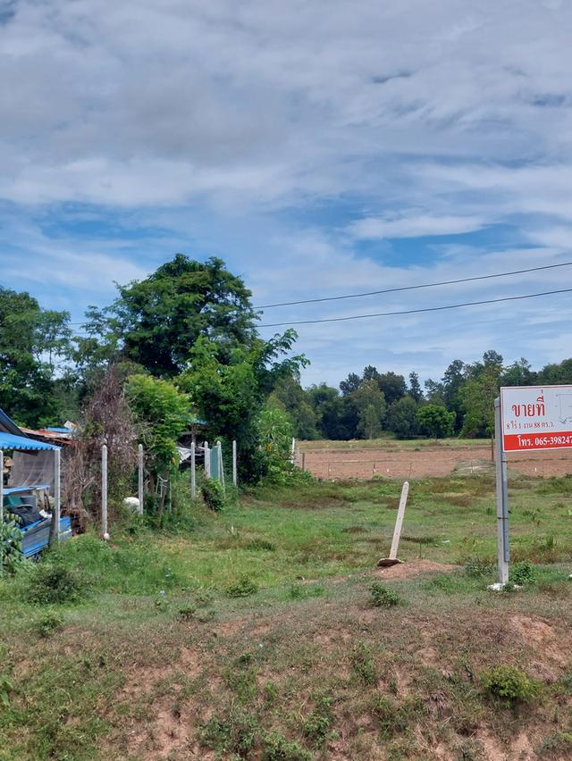 ขายด่วน! ที่ดินสีม่วง 8 ไร่เศษ หนองชุมพล อ.เขาย้อย จ.เพชรบุรี ทำเลสร้างโรงงาน-โกดัง ราคาถูกมาก 4