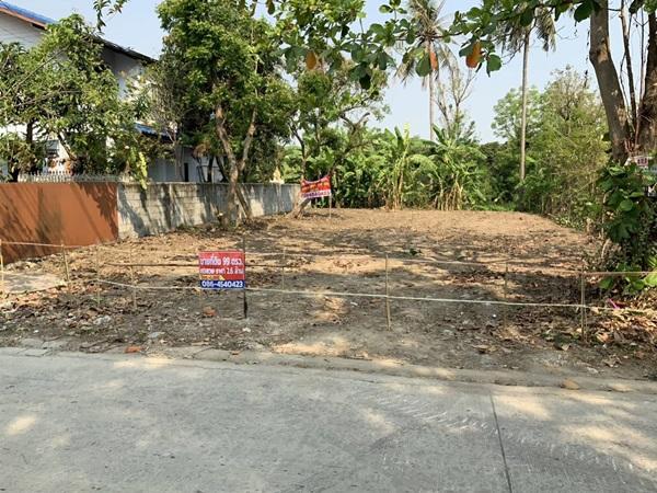 ขายที่ดิน บางใหญ่ ใกล้รถไฟฟ้า 99 วา 2.1 ล้าน 0864540423 รูปที่ 1