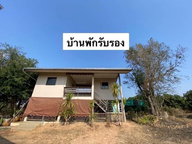 ขายที่ดินสวนลำไย ต.ฝายแก้ว อ.เมืองน่าน เนื้อที่ 69-3-23 ไร่ แถมที่ดินและอ่างเก็บน้ำ พร้อมระบบสาธารณูปโภค พลังงาน Solar c 2