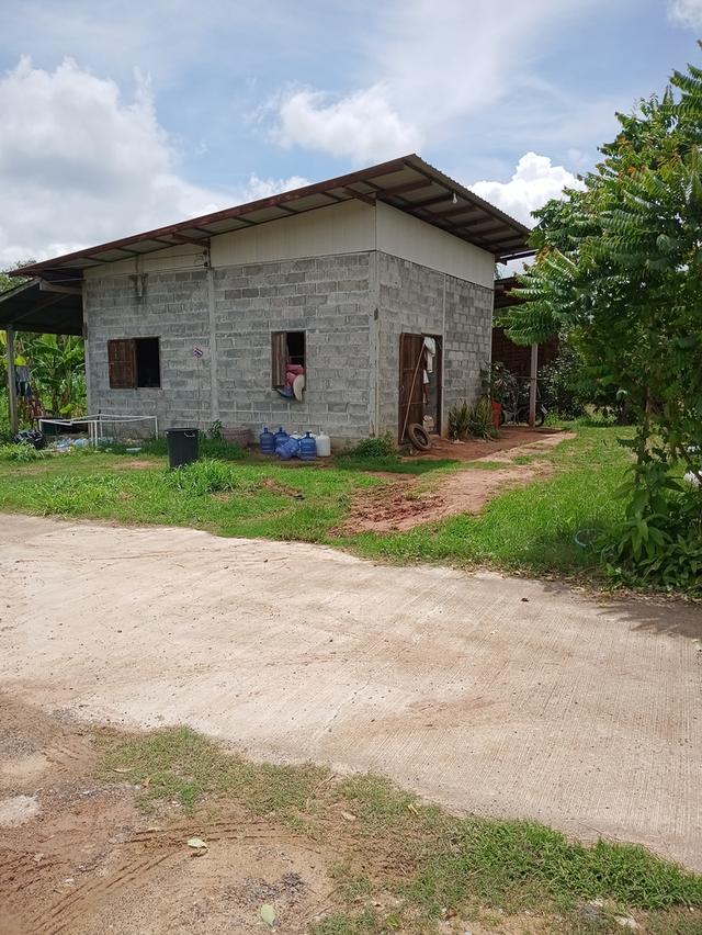 บ้านพร้อมที่ดิน 1งาน 62 ตรว.ติดถนนคอนกรีต 2