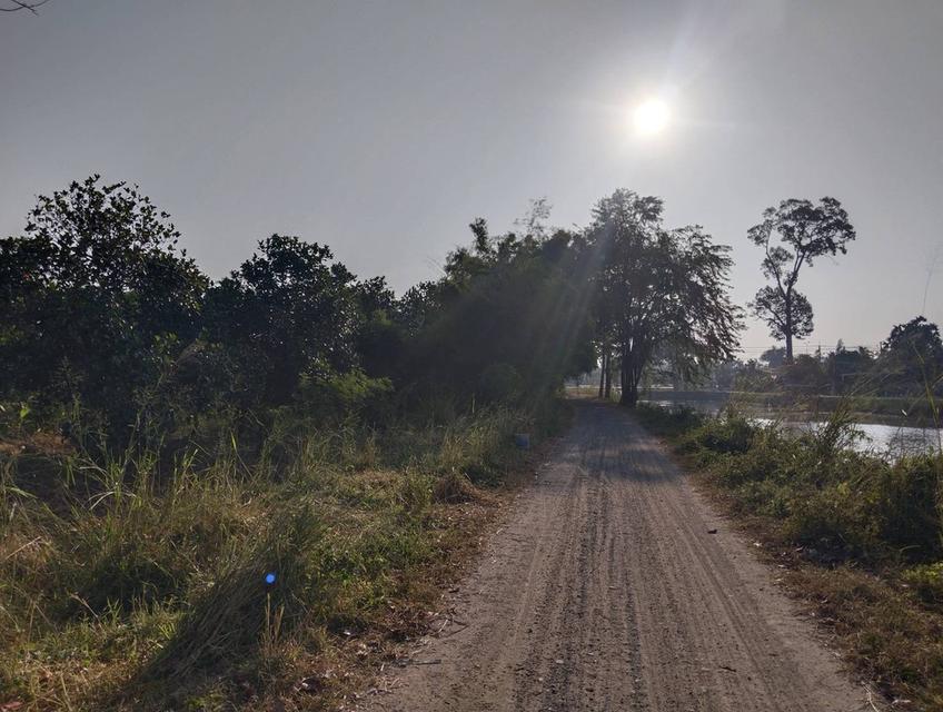 ที่ดิน บ้านพร้อมที่ดิน อ.บ้านลาด จ.เพชรบุรี 5