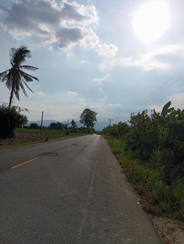 ที่ดิน
