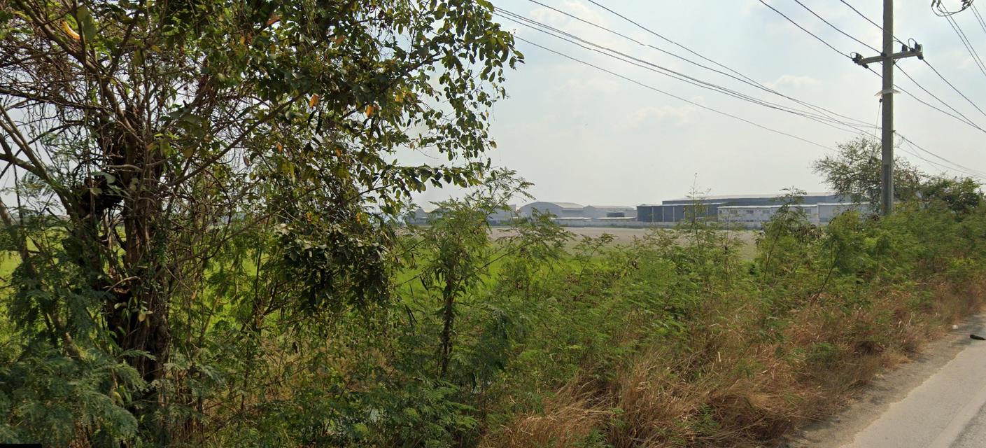 ขาย ที่ดิน45ไร่ พื้นที่สีเขียวลาย หน้ากว้าง 200ม.  ถนนทางหลวงชนบท นฐ.3004 บางเลน-ศาลายา ตำบลลำพญา อำเภอบางเลน นครปฐม 6