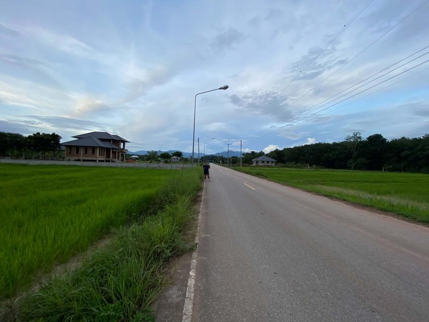 ที่ดิน1ไร่1งาน50ตรว. 2