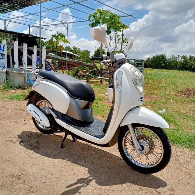 ขาย Honda Scoopy สีขาว