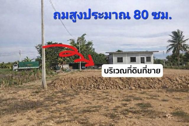 ที่ดินถมแล้ว พร้อมปลูกบ้าน ทำเลดี นครปฐม ใกล้กรุงเทพ เดินทางสะดวก เข้า-ออกได้หลายทาง เทศบาลเมืองสามควายเผือก จ.นครปฐม 1