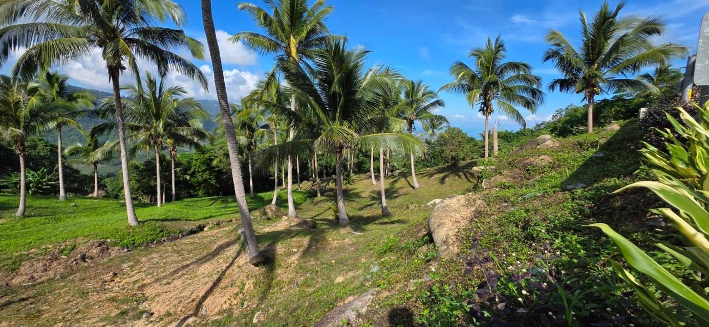 ที่ดินซีวิวบนเกาะสมุยอากาศดี 14