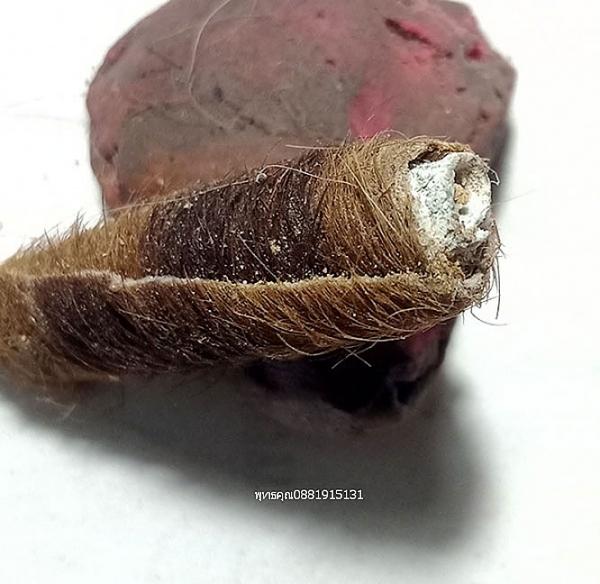 ตะกรุดหนังเสือวัดกม.26ใน จ.ยะลา 2