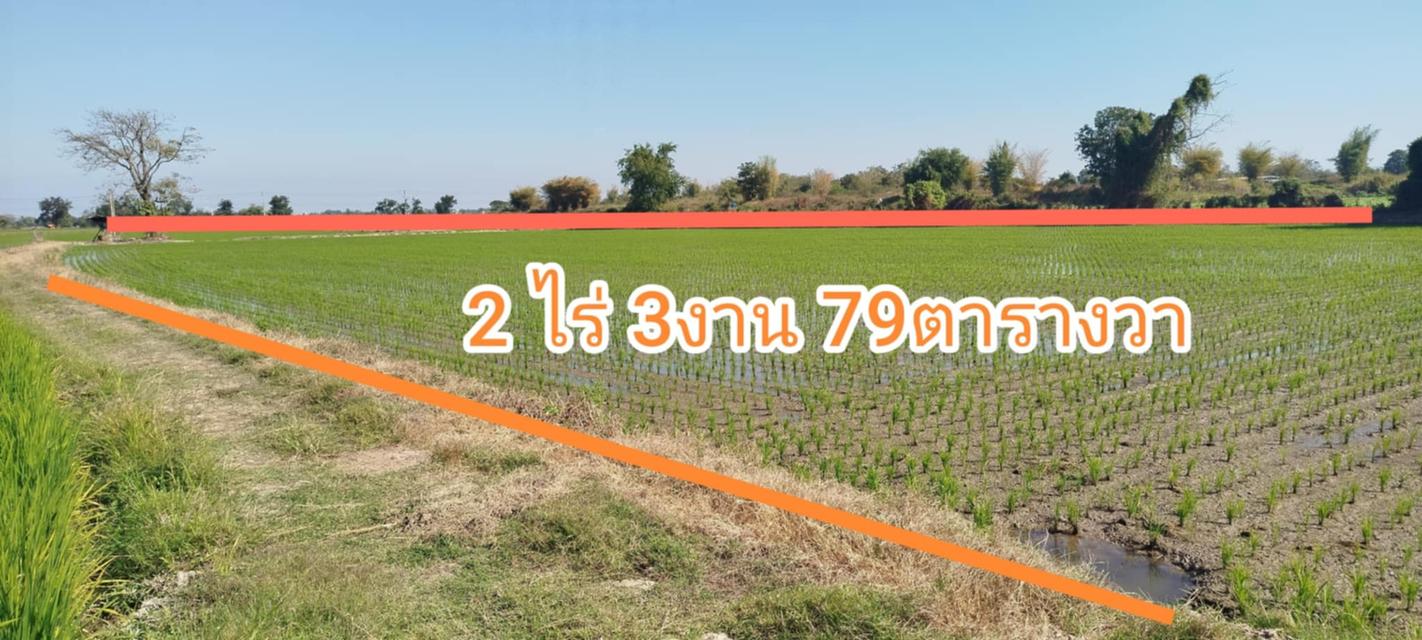 ที่ดิน อ.สวรรคโลก 4