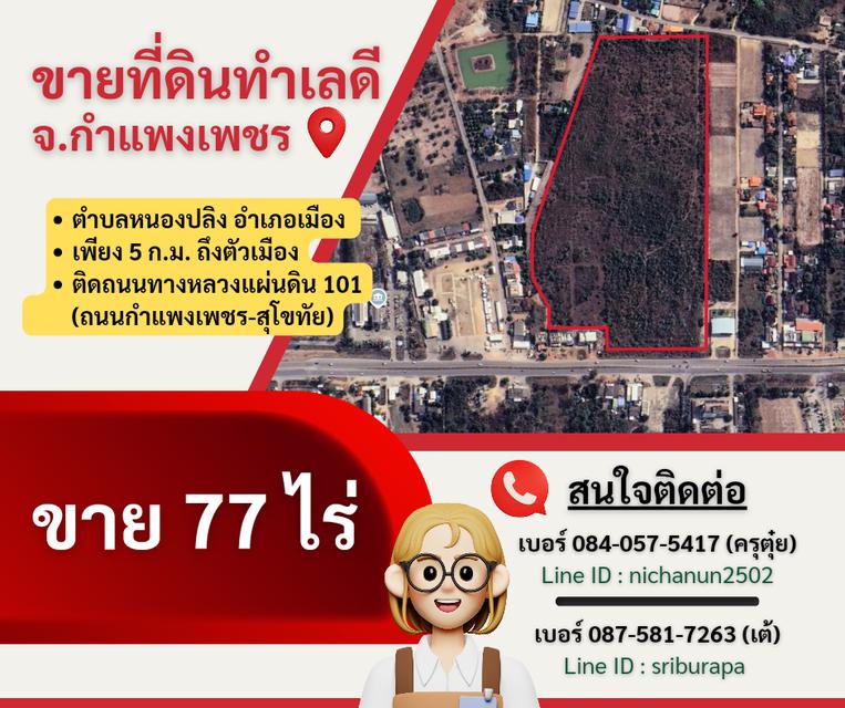 ขายที่ดินแปลงใหญ่ 77 ไร่ ติดถนนใหญ่ ทำเลดี จ.กำแพงเพชร!